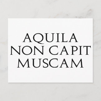 Aquila Non Capit Muscam Postcard