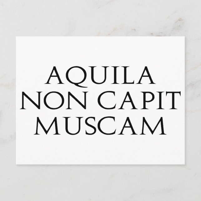 Aquila Non Capit Muscam Postcard (Front)