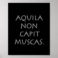 Aquila non capit muscas