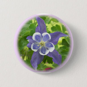Aquilegia Columbine Flower Button