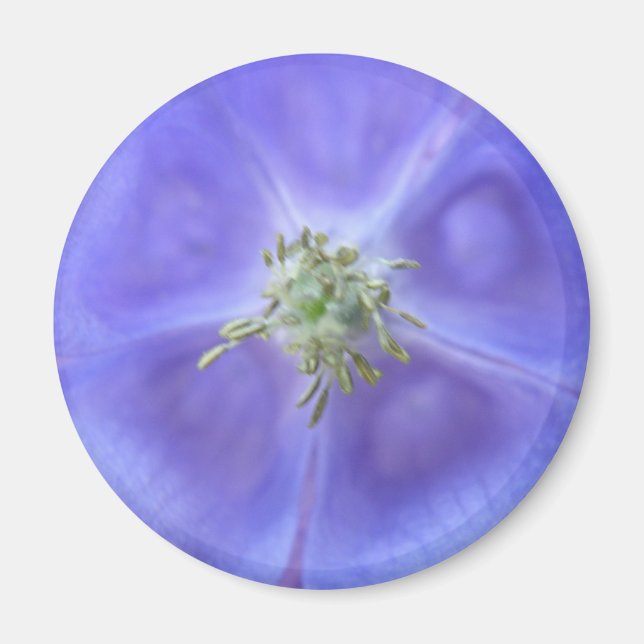 Aquilegia Flower Magnet (Front)