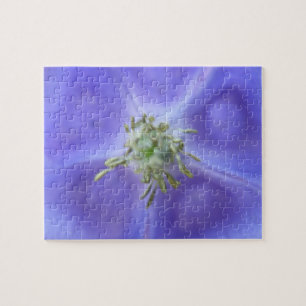 Aquilegia Flower Puzzle