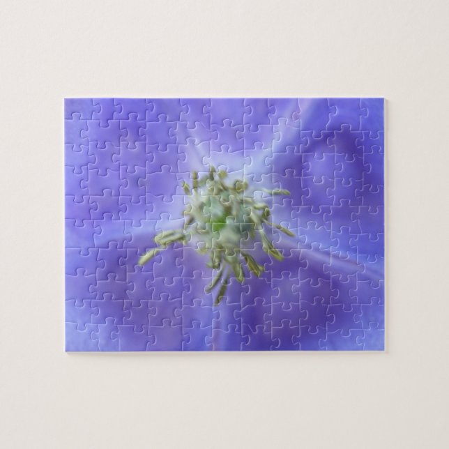 Aquilegia Flower Puzzle (Horizontal)