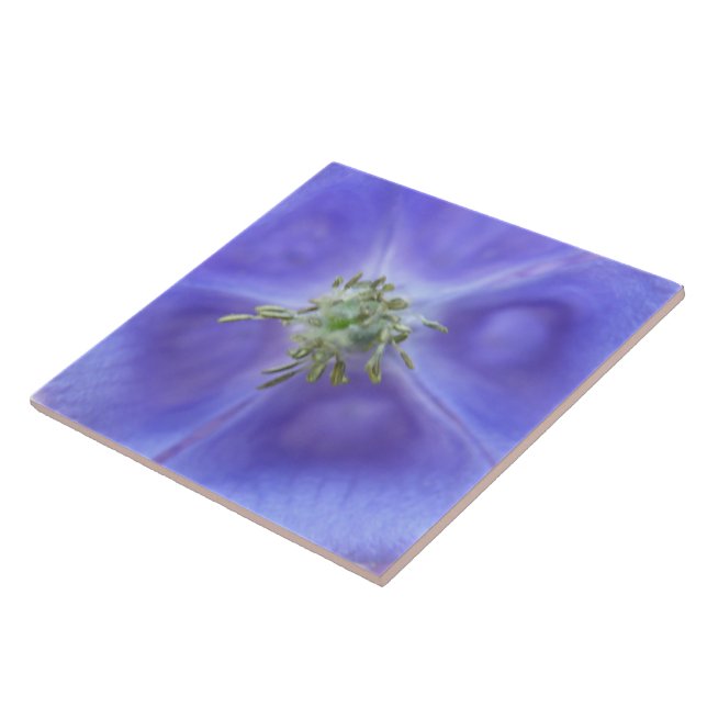 Aquilegia Flower Tile (Side)