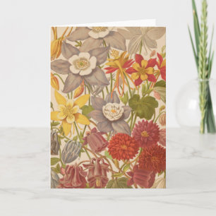 Aquilegia   George Nicholson Card