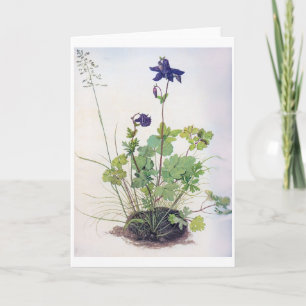 Aquilegia vulgaris Flower, Albrecht Durer Card