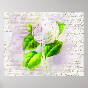 ** AR23 Floral Old Handwriting Vintage Victorian Poster