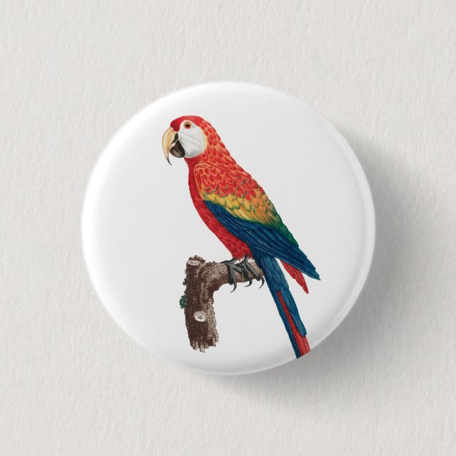 Ara Canga Parrot 3 Cm Round Badge (Front)