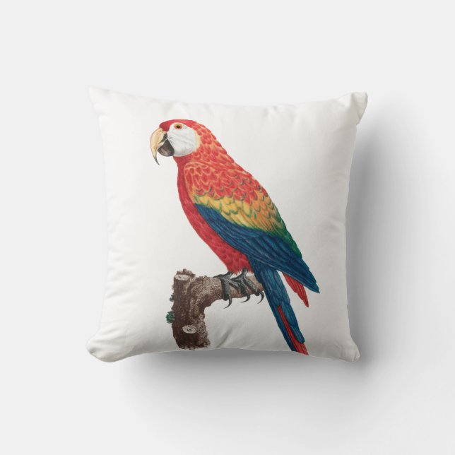 Ara Canga Parrot Cushion (Front)
