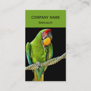 Ara Militaris Green Parrot Business Card