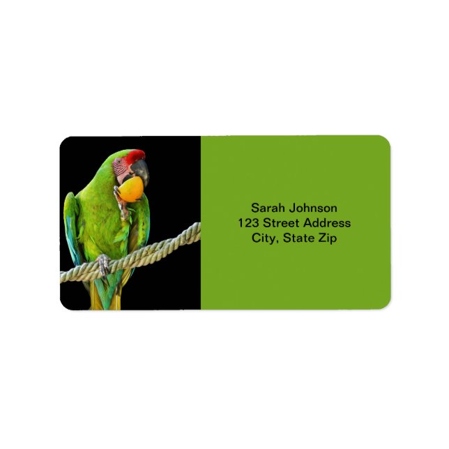 Ara Militaris Green Parrot Label (Front)