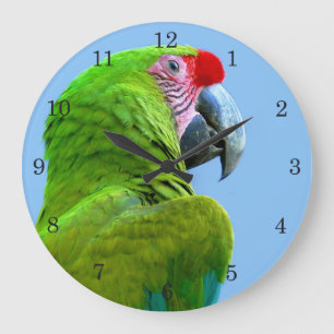 Ara Militaris Green Parrot Large Clock
