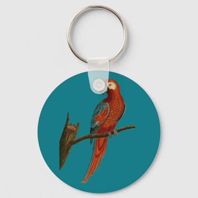 Ara red parrot key ring (Front)