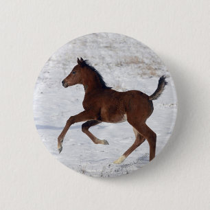 Arab Foal in the Snow 6 Cm Round Badge