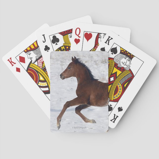 Arab Foal in the Snow Playing Cards (Back)