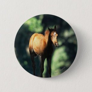 Arab Foal in the Trees 6 Cm Round Badge