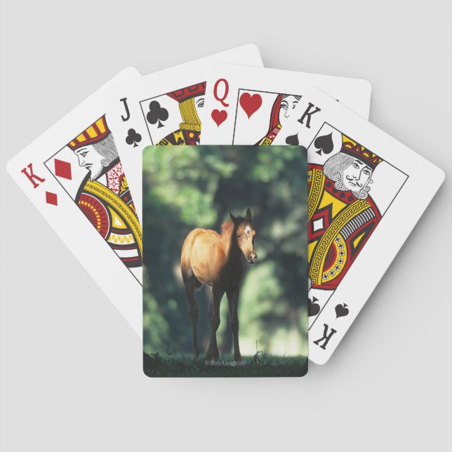 Arab Foal in the Trees Playing Cards (Back)
