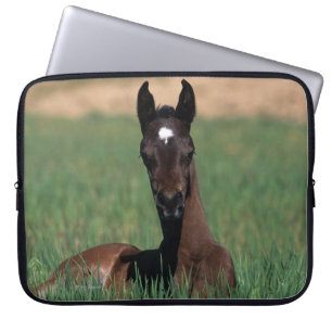 Arab Foal Laying Down Laptop Sleeve