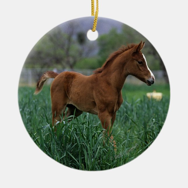Arab Foal Standing Ceramic Tree Decoration (Front)