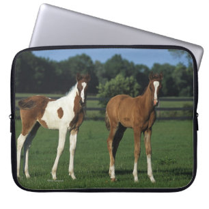 Arab Foals Standing in Grassy Field Laptop Sleeve