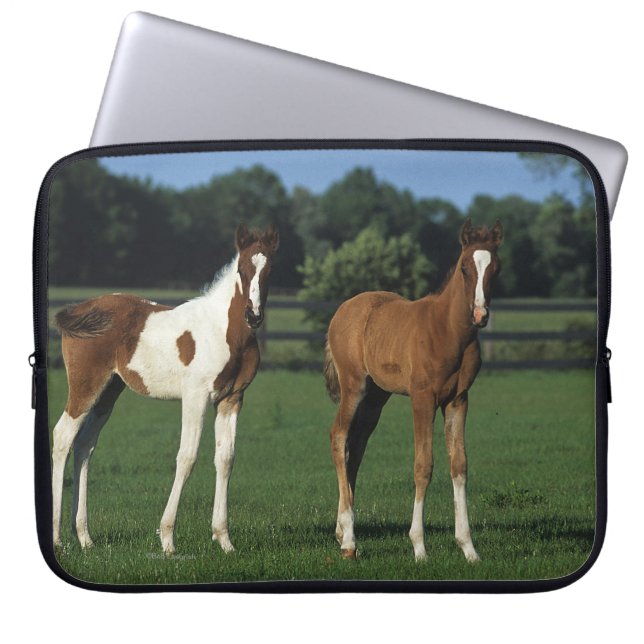 Arab Foals Standing in Grassy Field Laptop Sleeve (Front)