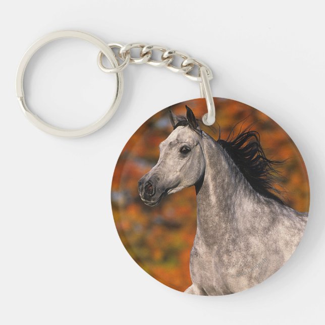 Arab Horse: Autumn 1 Key Ring (Front)