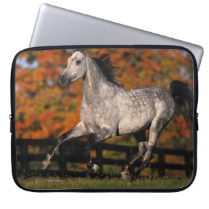 Arab Horse: Autumn 1 Laptop Sleeve
