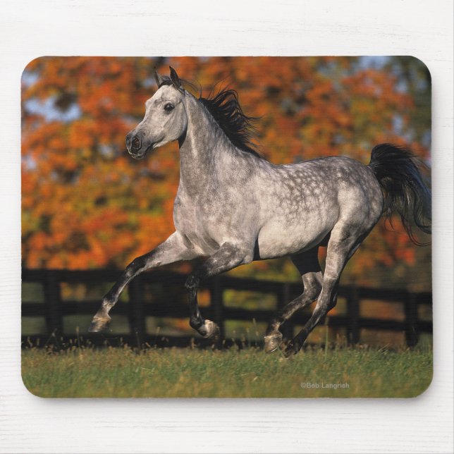 Arab Horse: Autumn 1 Mouse Mat (Front)