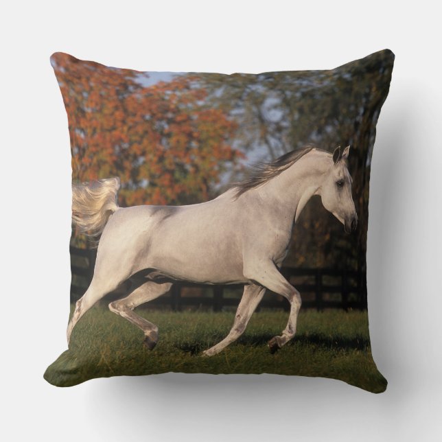 Arab Horse: Autumn 2 Cushion (Front)