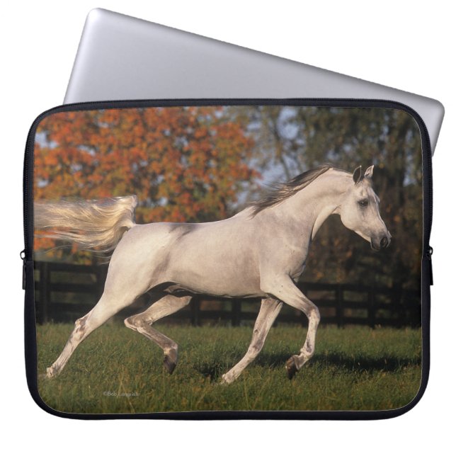 Arab Horse: Autumn 2 Laptop Sleeve (Front)
