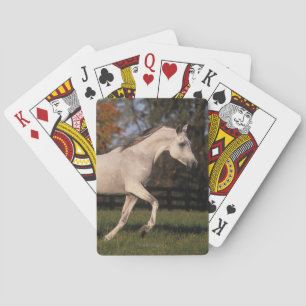 Arab Horse: Autumn 2 Playing Cards