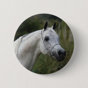 Arab Horse Headshot 1 6 Cm Round Badge
