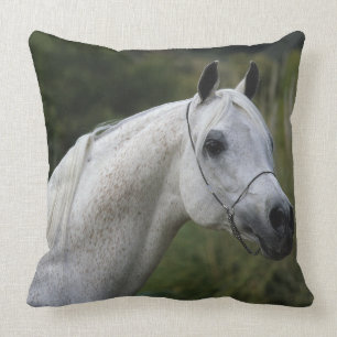 Arab Horse Headshot 1 Cushion