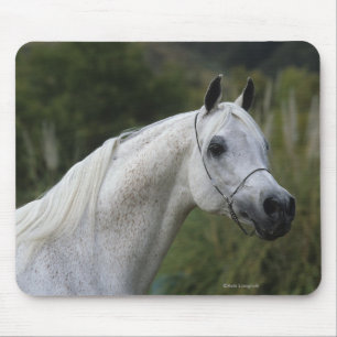 Arab Horse Headshot 1 Mouse Mat