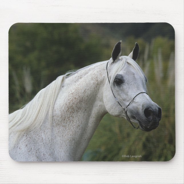 Arab Horse Headshot 1 Mouse Mat (Front)