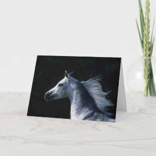 Arab Horse Headshot 2 Card