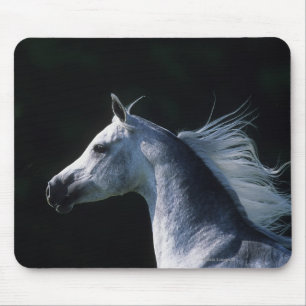 Arab Horse Headshot 2 Mouse Mat