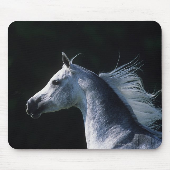 Arab Horse Headshot 2 Mouse Mat (Front)