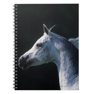 Arab Horse Headshot 2 Notebook