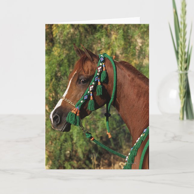 Arab Horse Headshot with Bridle Card (Front)