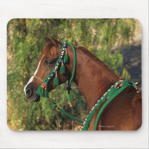 Arab Horse Headshot with Bridle Mouse Mat