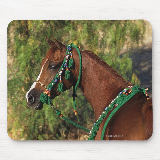 Arab Horse Headshot with Bridle Mouse Mat (Front)