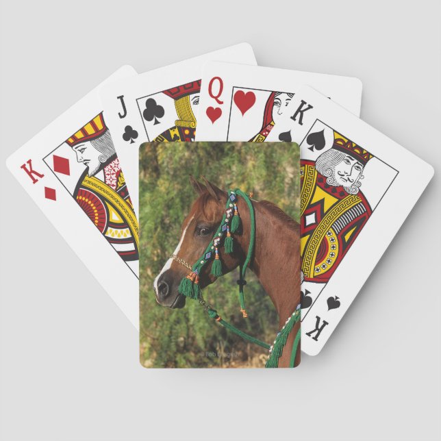 Arab Horse Headshot with Bridle Playing Cards (Back)