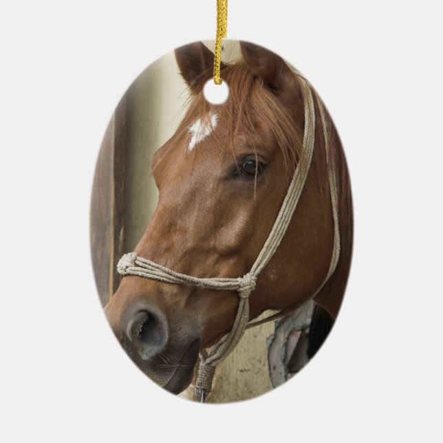 Arab Horse Ornament (Front)