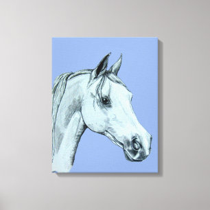 Arab Horse Pencil Portrait on Blue Background Canvas Print