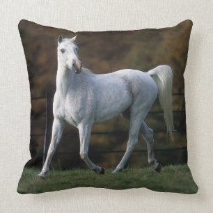 Arab Horse Running 1 Cushion