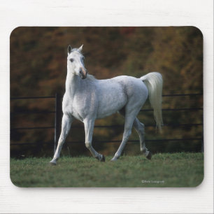 Arab Horse Running 1 Mouse Mat