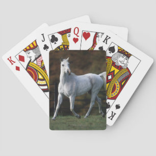Arab Horse Running 1 Playing Cards