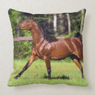 Arab Horse Running 2 Cushion