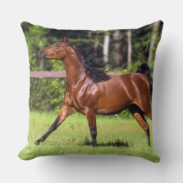 Arab Horse Running 2 Cushion (Front)